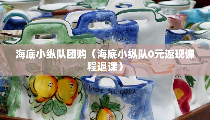 海底小纵队团购（海底小纵队0元返现课程退课）